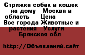 Стрижка собак и кошек на дому.  Москва и область.  › Цена ­ 1 200 - Все города Животные и растения » Услуги   . Брянская обл.